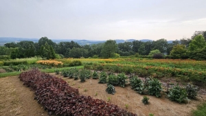 Weitläufiger Schaugarten in Stroheim